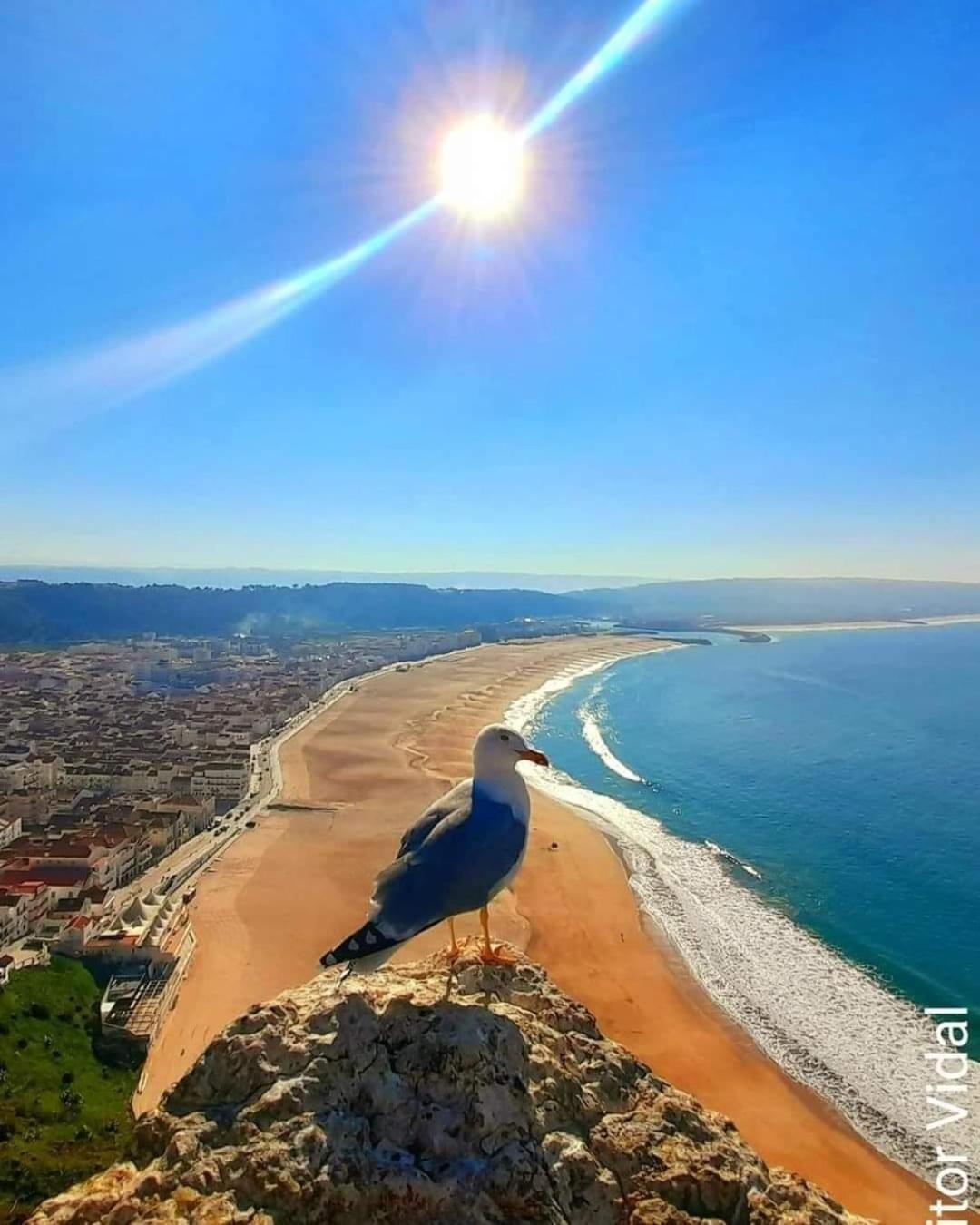 Maresia Villa Mar Nazaré Zewnętrze zdjęcie